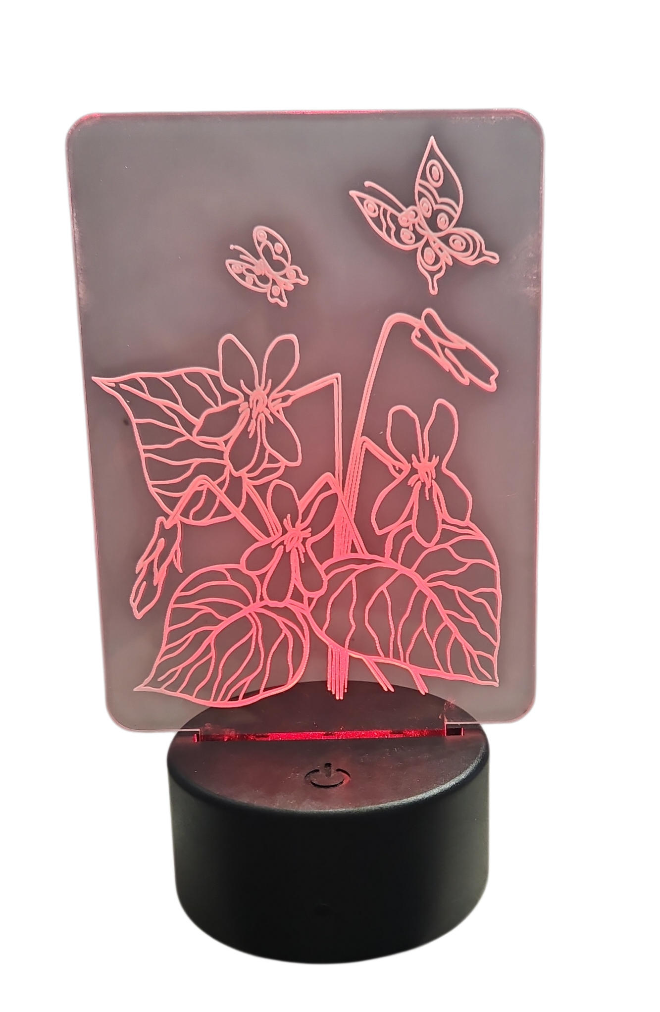 Acrylic Night Light with Flowers and Butterflies