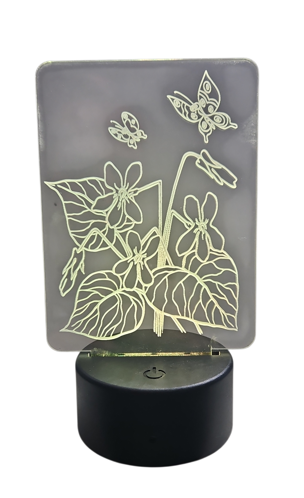 Acrylic Night Light with Flowers and Butterflies