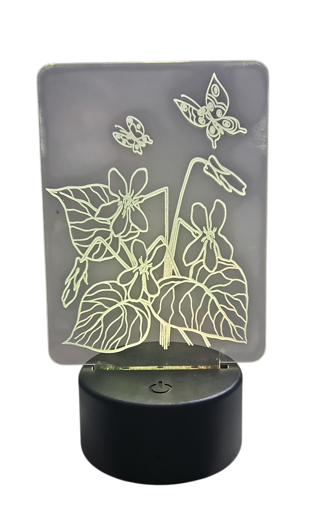 Acrylic Night Light with Flowers and Butterflies