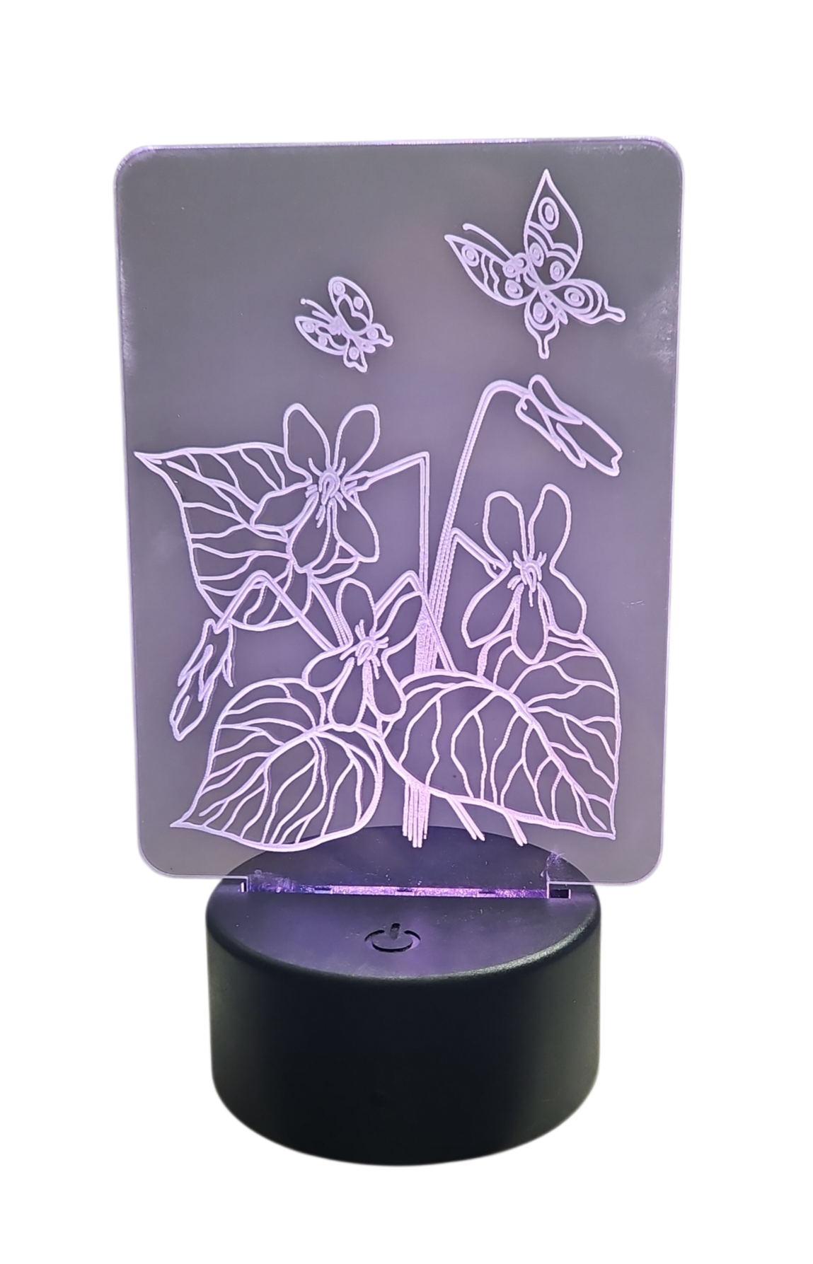 Acrylic Night Light with Flowers and Butterflies